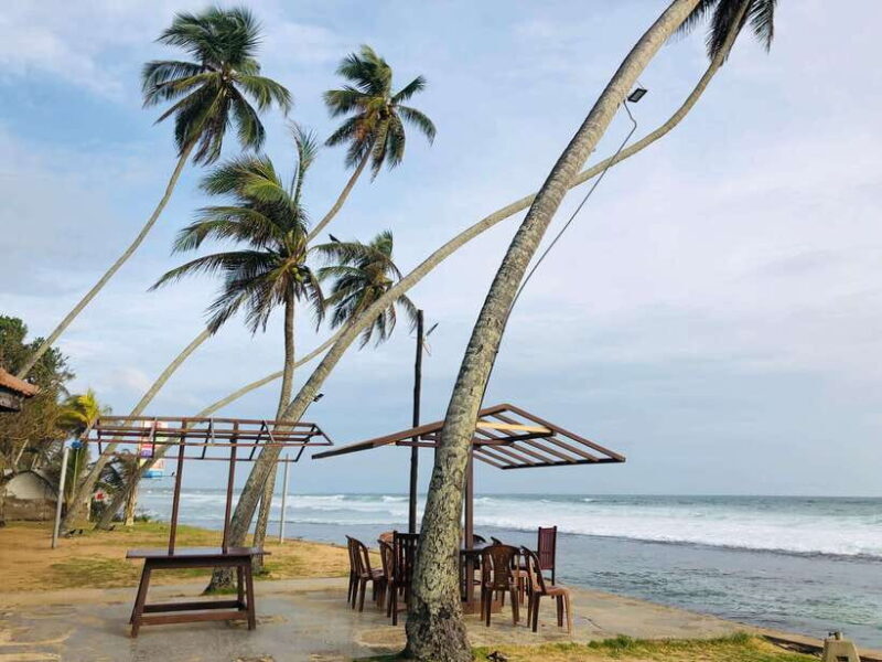 Sri Lanka: 10-Day Luxury Tour with guide - Final Thoughts: Who Should Consider This Tour?