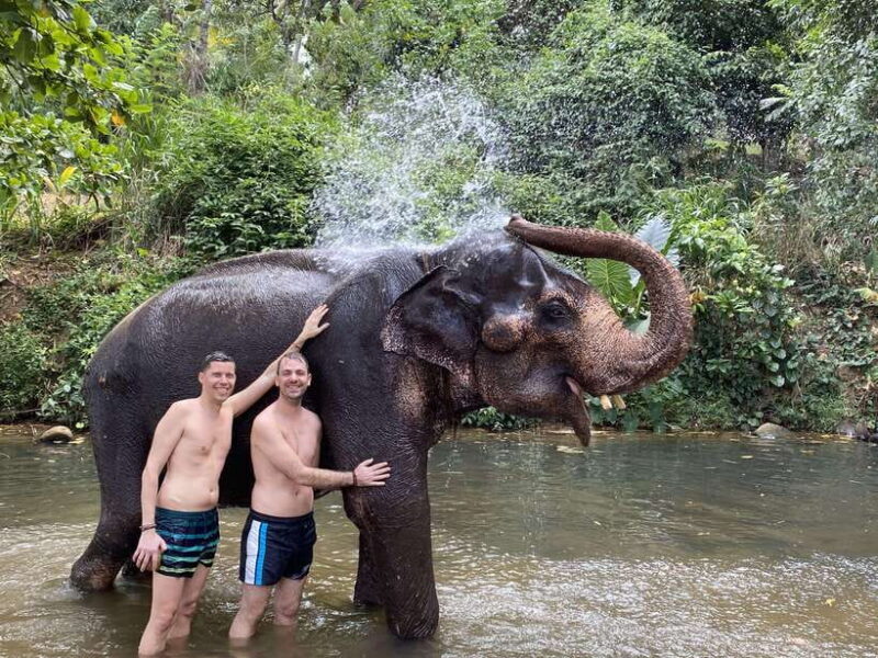 Sri Lanka: 10-Days Private Guided Tour - Final Thoughts: Is It Worth It?