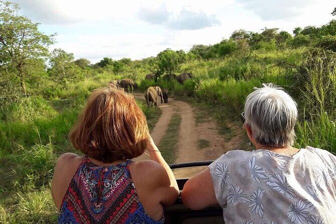 Sri Lanka: 10 Days tour with 3-4* Hotels(HB)Driver & Private Car - Frequently Asked Questions