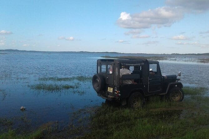 Sri Lanka 11 Days with Driver and Vehicle (Customizable) - Exploring Sri Lanka in Depth: A Practical Review