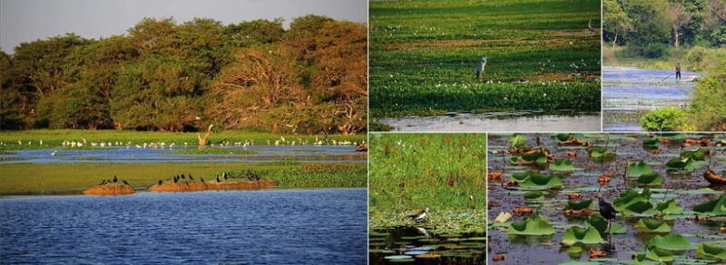 Sri Lanka 14-Day Journey: Culture, Nature & Adventure - Who Will Love This Tour?