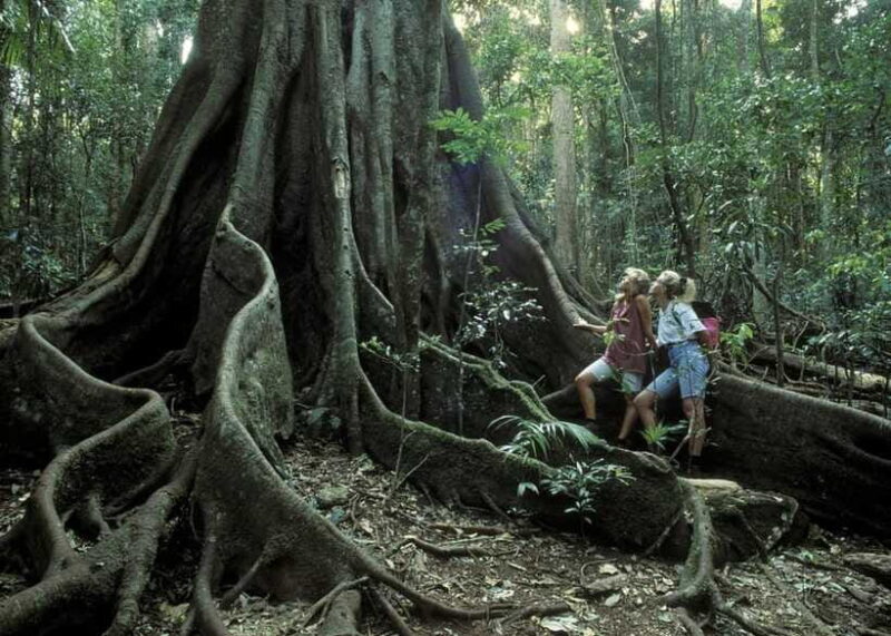 Sri Lanka 2-Day National Parks Trip, Hotel, Transport, Guide - Final Thoughts: Is It Worth It?