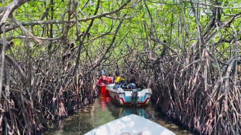 "Sri Lanka 2-Day Tour: Explore Hikkaduwa, Galle & Yala" - Analyzing the Value