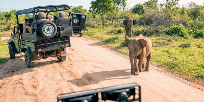 Sri Lanka: 2-Day wildlife tour; rainforest and National park - Practical Details and Considerations