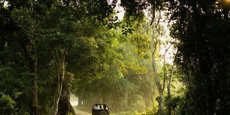 Sri Lanka: 2-Day wildlife tour; rainforest and National park - Who Will Love This Tour?