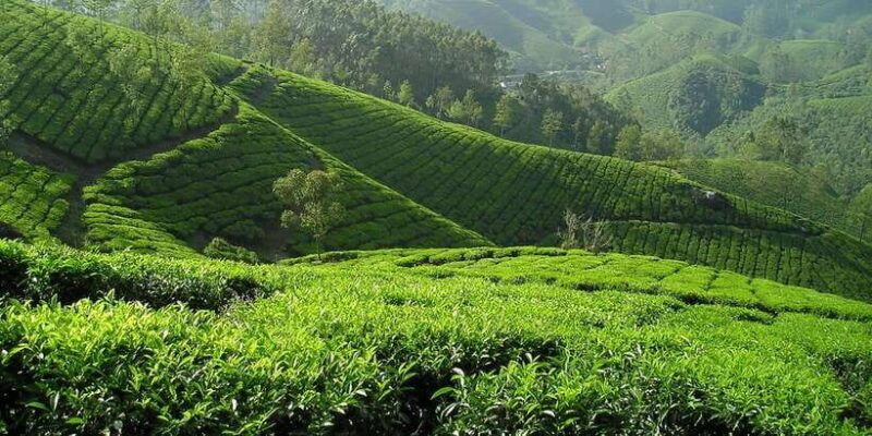 Sri Lanka: 2-Day wildlife tour; rainforest and National park - FAQs