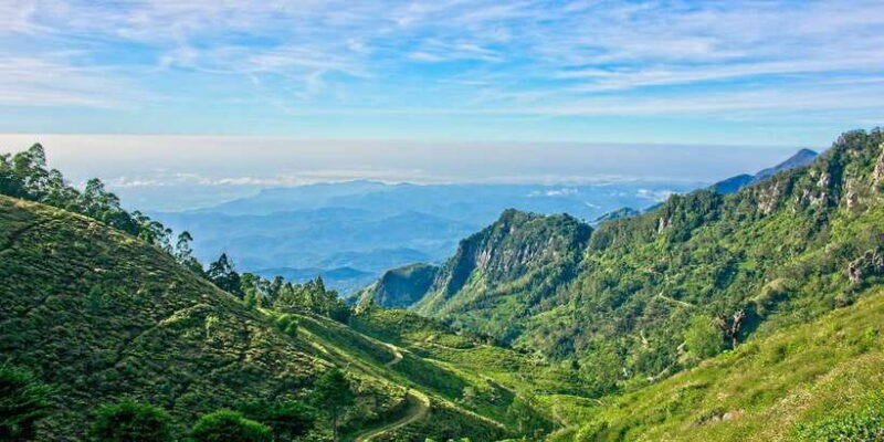 Sri Lanka: 2-Day wildlife tour; rainforest and National park - Final Thoughts