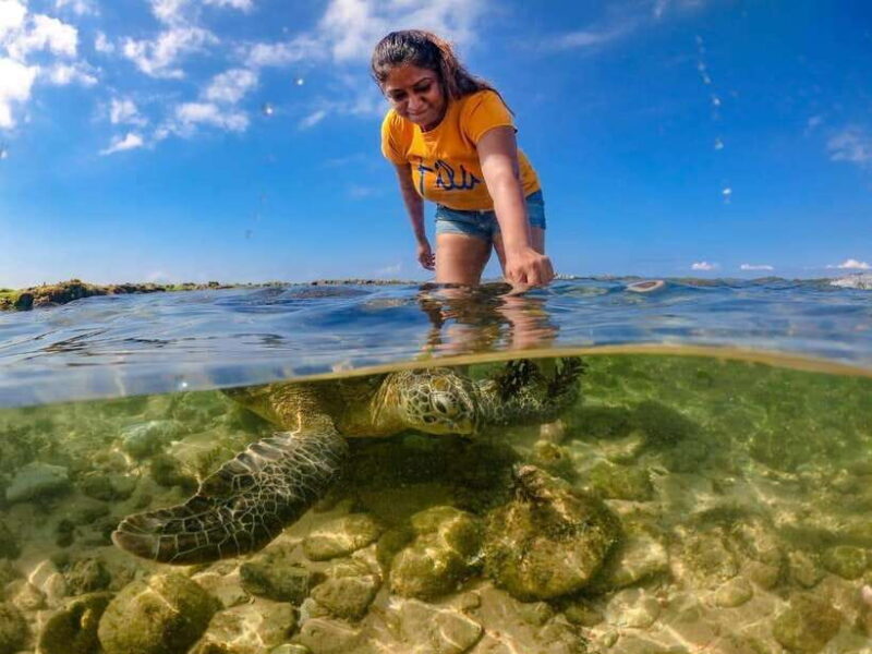 Sri Lanka: 3-Day 2night South Coast Tour with Whale Watching - Discovering the Highlights of the South Coast Tour