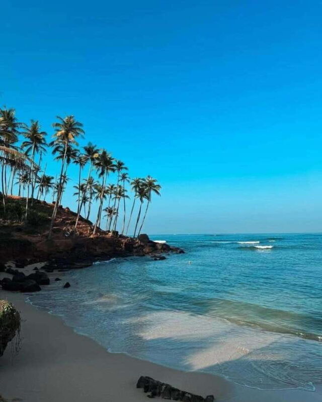 Sri Lanka: 3-Day 2night South Coast Tour with Whale Watching - FAQs