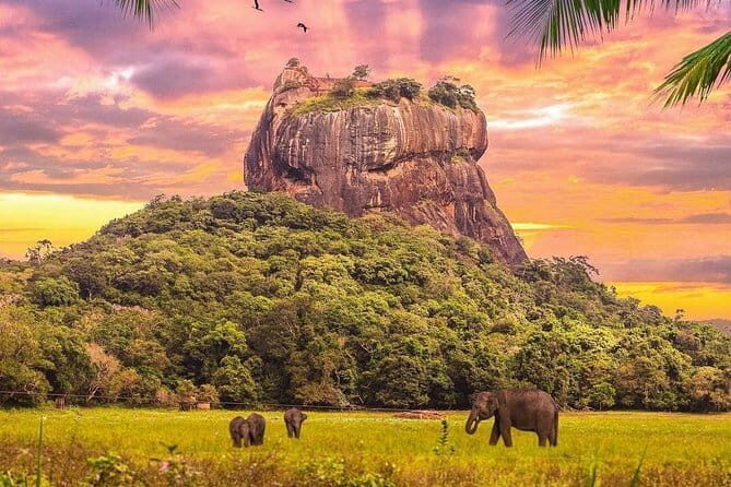 Sri Lanka 4 Day Private Tour - Weighing the Value