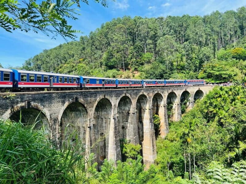 Sri Lanka: 5-Day Adventure with World Heritage Sites - Day Three: Scenic Trekking and Tea Experiences