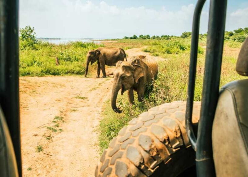 Sri Lanka: 5-Day Tour with Hill Country, Cultural Triangle - Key Points