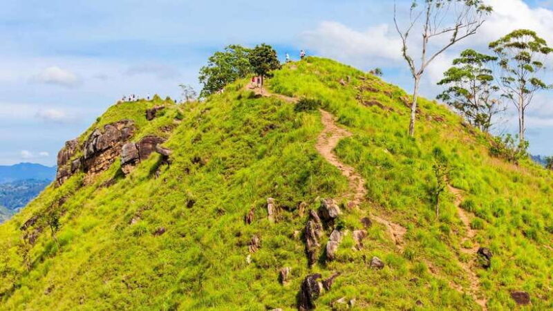 Sri Lanka: 6-Day Luxury Honeymoon Tour - Sri Lanka: 6-Day Luxury Honeymoon Tour — A Detailed Review