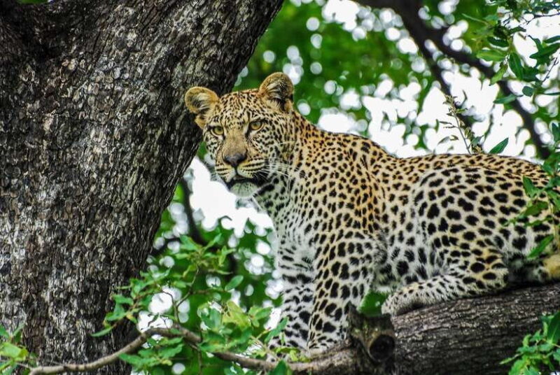 Sri Lanka: 7-Day Off-The-Beaten Path Private Tour - The Sum Up