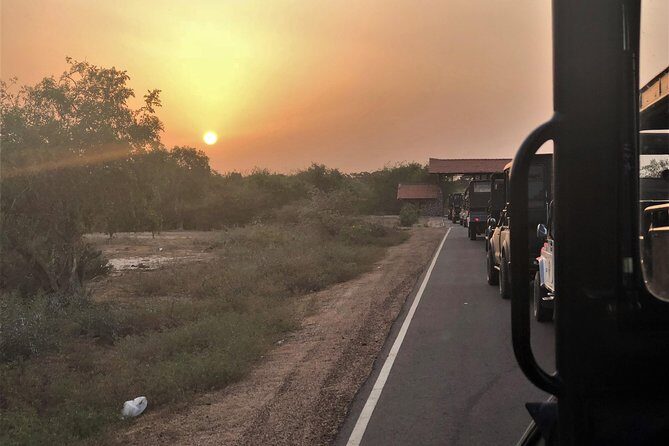 Sri Lanka 7 Days Tour Package South Coast & Highlands - Who This Tour Is Best For