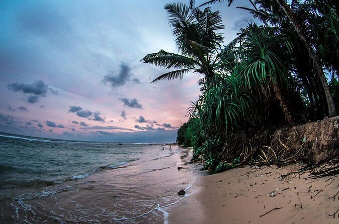 Sri Lanka Beach Best Tour Of 11 Days - Wrapping Up in Colombo