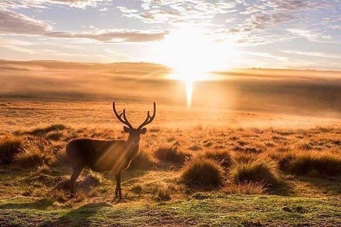 Sri Lanka budget tour package 8 days with driver,vehicle and H/B accommodations. - Final Thoughts