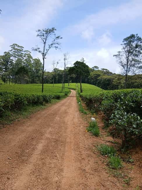 Sri Lanka: Central Province Motorbike Tour as Passenger - Final Thoughts