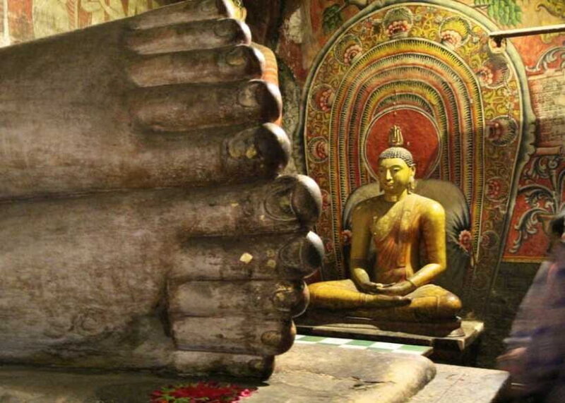 Sri Lanka Cultural Triangle Private 2-Day Tour+Wildlife Tour - A Deep Dive into the Experience