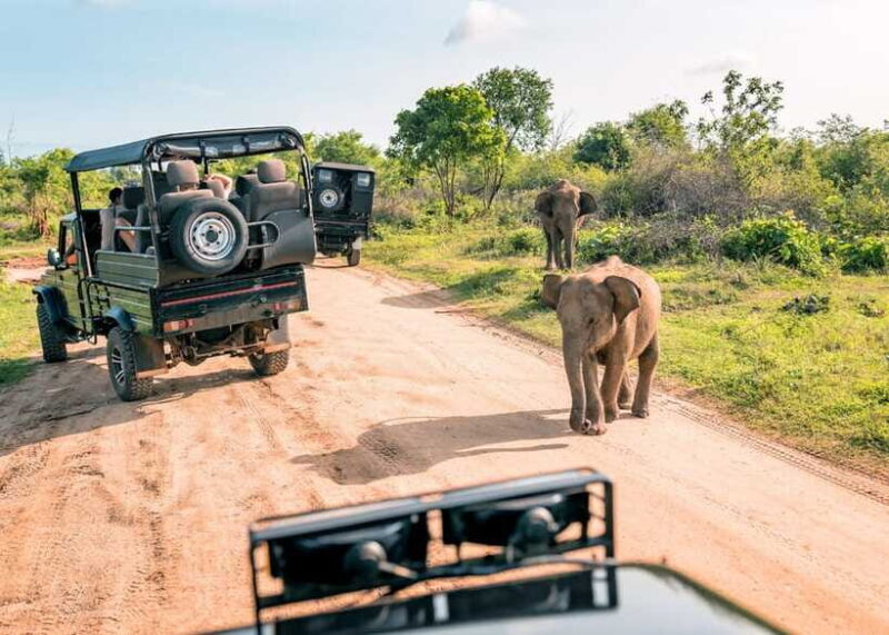 Sri Lanka Cultural Triangle Private 2-Day Tour+Wildlife Tour - Frequently Asked Questions