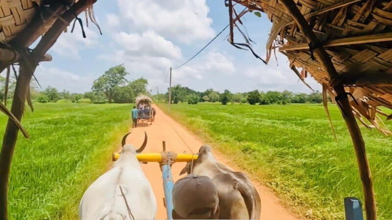 Sri Lanka Culture Triangle: 4-Day Journey with 3 Nights Stay - Final Thoughts