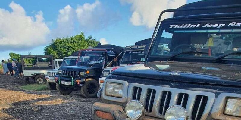 Sri Lanka: Elephant Safari Adventure with Hotel Pickup - Discover the Gentle Giants of Sri Lanka: Elephant Safari Adventure