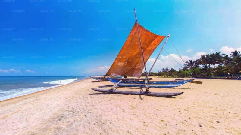 Sri Lanka in 10 Days: Heritage, Hills & Coast - Key Points