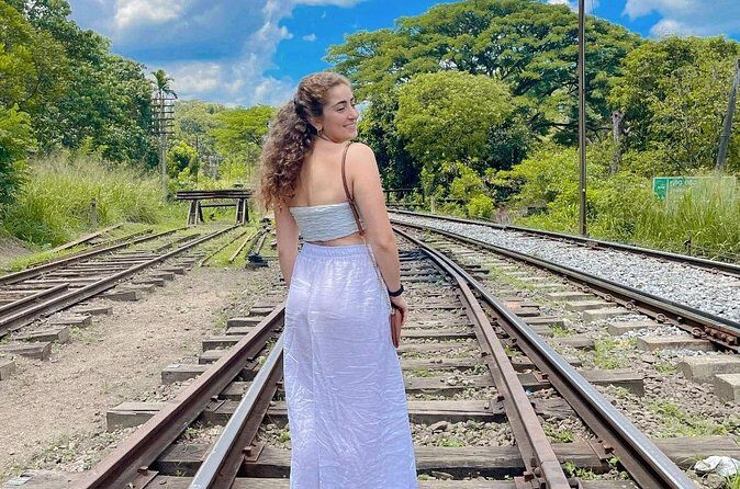 Sri Lanka Personal Tour Driver in a Private Vehicle - FAQ