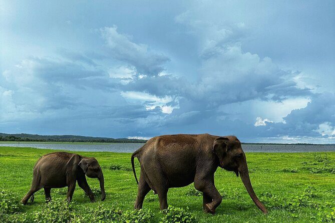 Sri Lanka Personal Tour Driver in private vehicle - Key Points