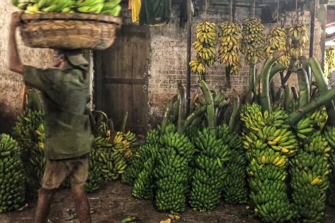 Sri Lanka Personal Tour Driver in private vehicle - Breakdown of the Itinerary Options