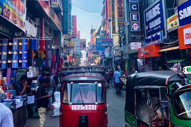 Sri Lanka Personal Tour Driver in private vehicle - The Sum Up: Who Is This Tour Perfect For?