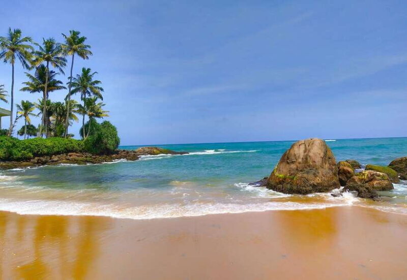 Sri Lanka Private 7-day Tour: Transport, Guide, Hotels, Food - Who Is This Tour Best For?