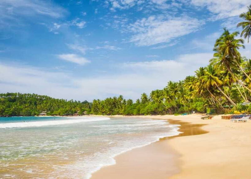 Sri Lanka Private 8-day Tour; Transport, Guide, Hotels, Food - Who Is This Tour Best For?