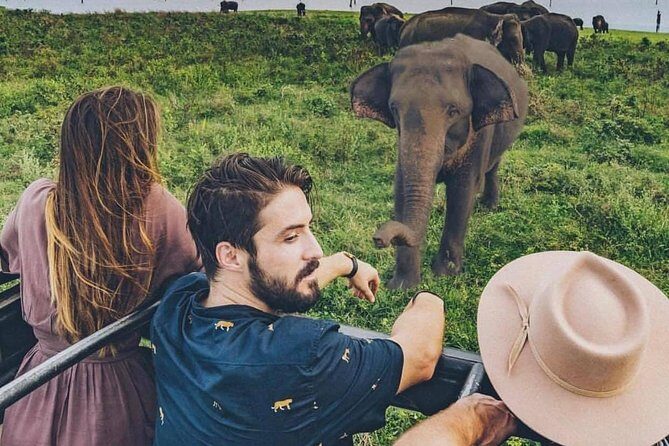 Sri Lanka private tour package 9 night 10 Day with driver+vehicle+accommodations - How the Logistics Work