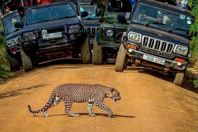 Sri Lanka private tour package 9 night 10 Day with driver+vehicle+accommodations - Frequently Asked Questions