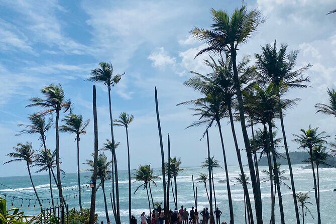 Sri Lanka Round Tour-Sigiriya, Ella Train Ride Safari Adventure - Pricing & Value