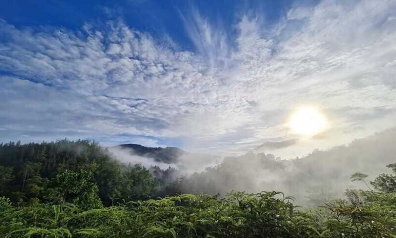Sri Lanka : Sinharaja Rainforest Guided Trek with Pickup - Who Should Consider This Tour?