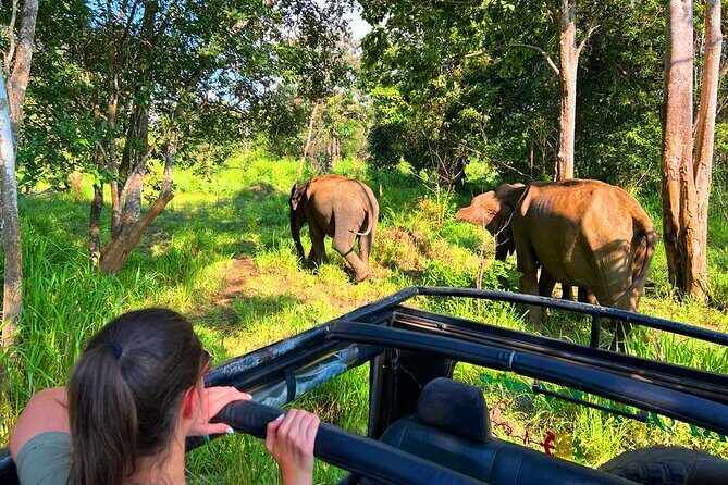 Sri Lanka Tour 06 Nights 07 Days with Hotels & Transport - Who Is This Tour Best For?