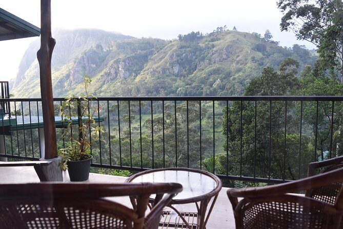 Sri Lanka tours 12-Day wildlife Tour with driver,Car or Van and accommodations - Days 7-8: Wildlife Safari at Yala and Coastal Relaxation