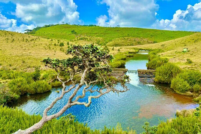 Sri Lanka Unveiled: 12 Nights Complete Experience Package - In-Depth Review of the Sri Lanka Unveiled Tour