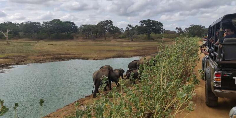 Sri Lanka: Yala National Park Private Safari - Comparing Similar Experiences