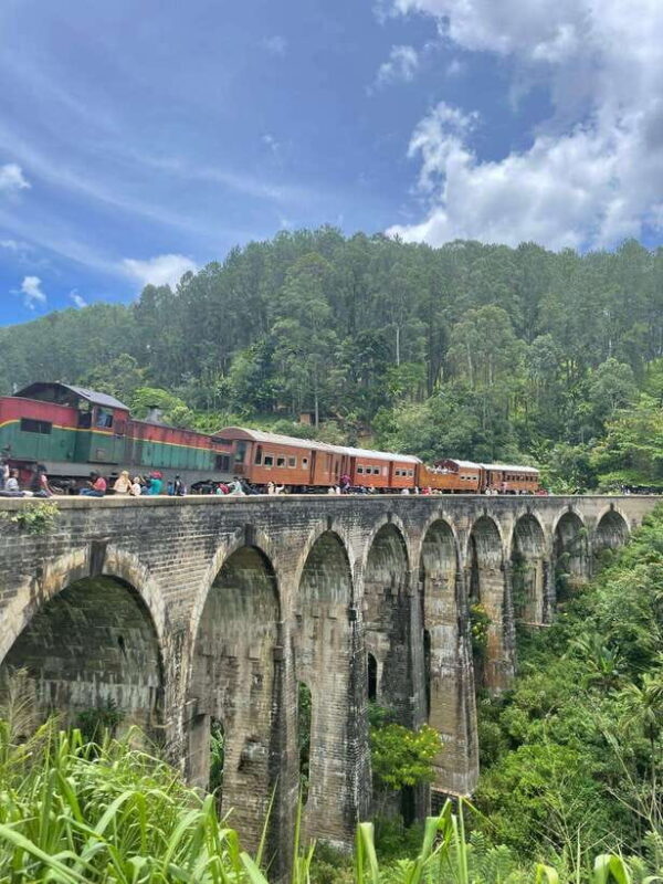 SriLanka Private Tour: 6Days 5Nights Adventure, Culture&more - Day 4: Relaxing in Bentota