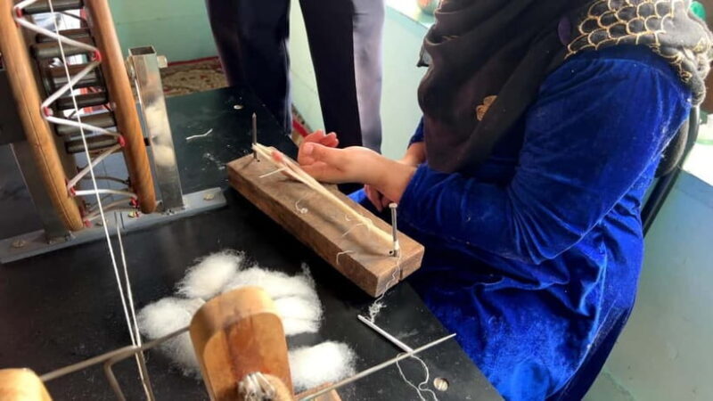 Srinagar: Cashmere Pashmina Craft Tour with Master Artisans - Why this tour is worth considering