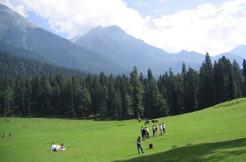 Srinagar: Doodhpathri Day Trip with Transfers - What Makes Doodhpathri Special?