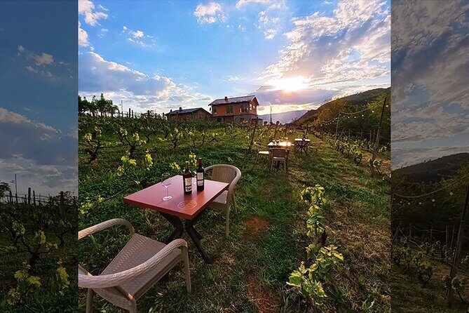 S&S Winery - Wine Tasting Experience in Ohrid - FAQ