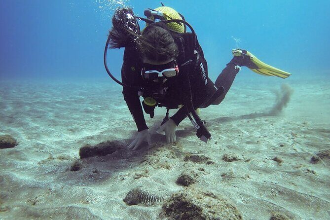 SSI basic diver In Tenerife - 2 Dives - Exploring Tenerife’s Underwater Realm: The SSI Basic Diver Experience