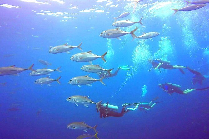 SSI Open Water Diver Course - The Importance of Professional Guidance