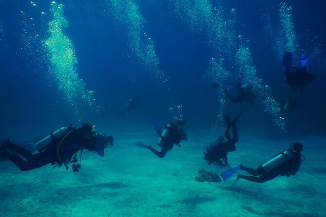 SSI Open Water Diving Course in Costa Rica 3 days - Key Points