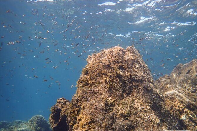 SSI Open Water, South Tenerife - Final Thoughts