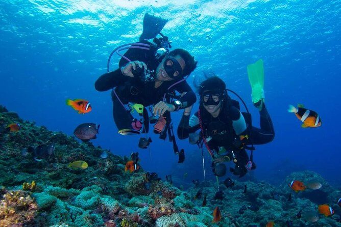 SSI | Padi Open Water Course in Phuket - Key Points